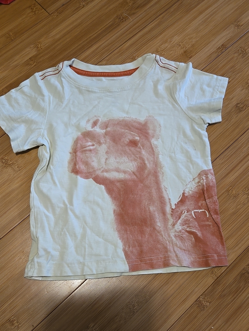 Tea Collection Cream Tee with Orange Camel Graphic - 3T